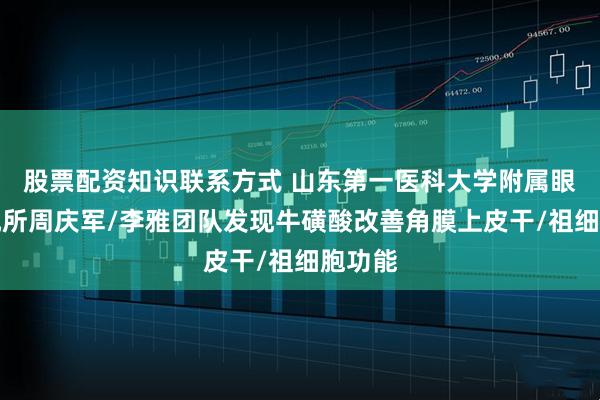 股票配资知识联系方式 山东第一医科大学附属眼科研究所周庆军/李雅团队发现牛磺酸改善角膜上皮干/祖细胞功能