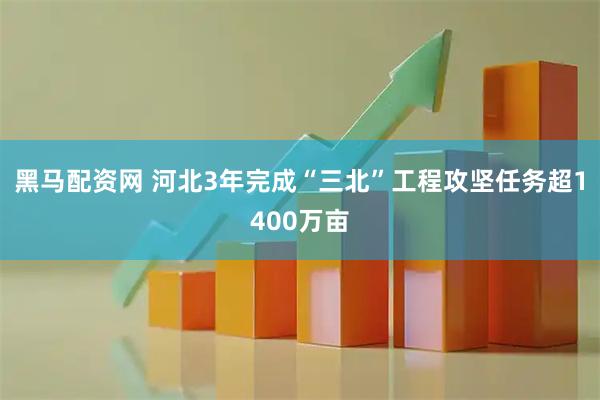 黑马配资网 河北3年完成“三北”工程攻坚任务超1400万亩